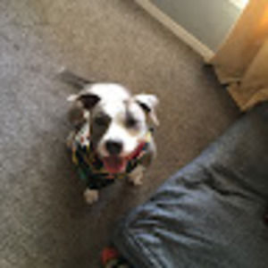 Meet your Posher, Liz